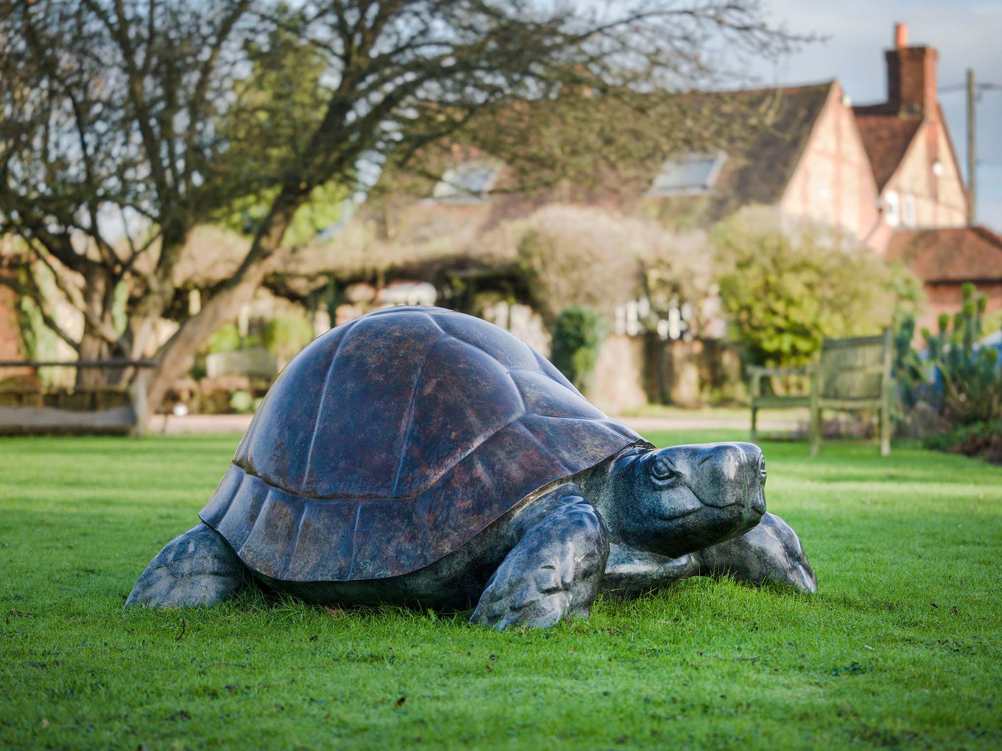 Sculpture of tortoise, by Michael Cooper.